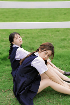 狮子王2